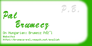 pal brumecz business card